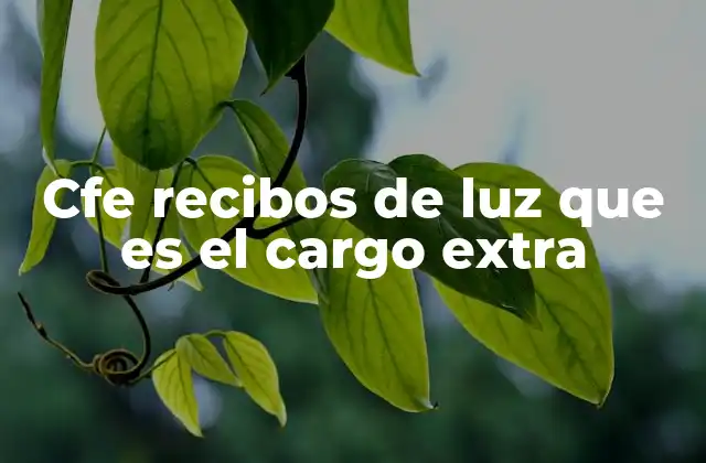 Cfe Recibos de Luz que es el Cargo Extra