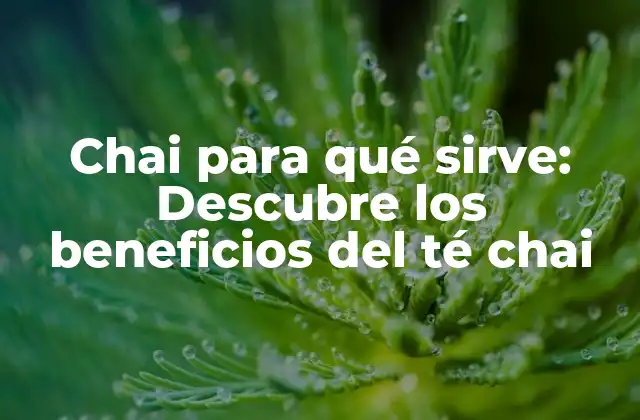 Chai para Qué Sirve: Descubre los Beneficios Del Té Chai 2 Propiedades medicinales del té chai