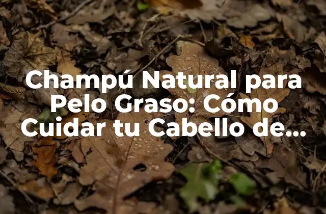 ¿Qué es un Champú Natural para Pelo Graso?