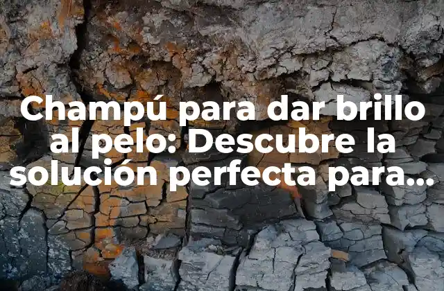 Champú para Dar Brillo Al Pelo: Descubre la Solución Perfecta para Tu Cabello