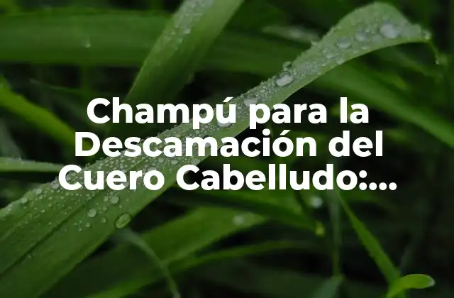 Champú para la Descamación Del Cuero Cabelludo: Soluciona el Problema de la Caspa y la Irritación