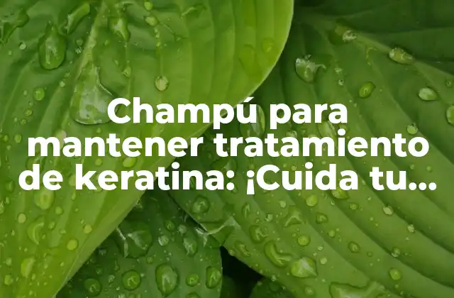 Champú para Mantener Tratamiento de Keratina: ¡cuida Tu Cabello con los Mejores Productos!
