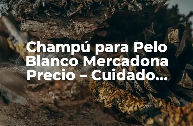 Champú para Pelo Blanco Mercadona Precio – Cuidado Integral para Tu Cabello