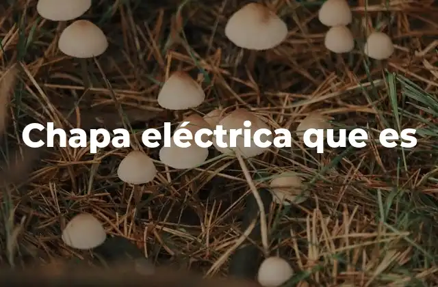 Chapa Eléctrica que es