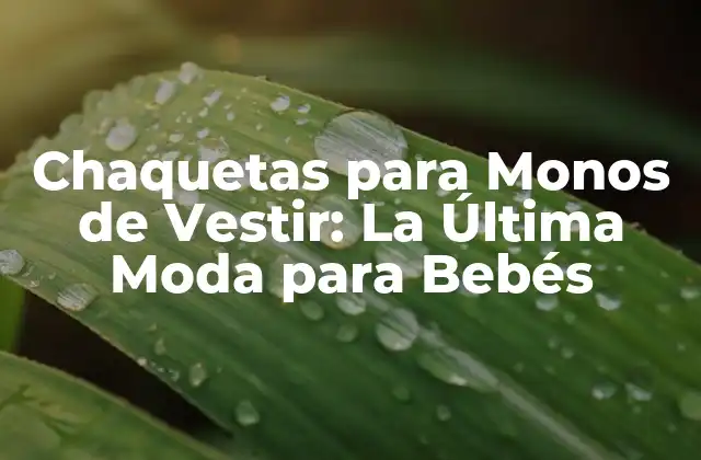 Chaquetas para Monos de Vestir: la Última Moda para Bebés