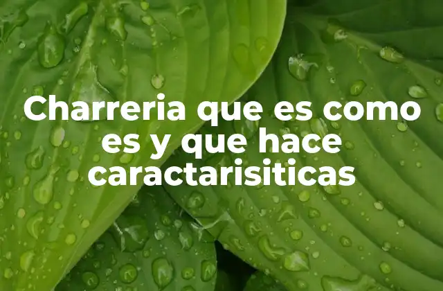 Charreria que es como es y que Hace Caractarisiticas