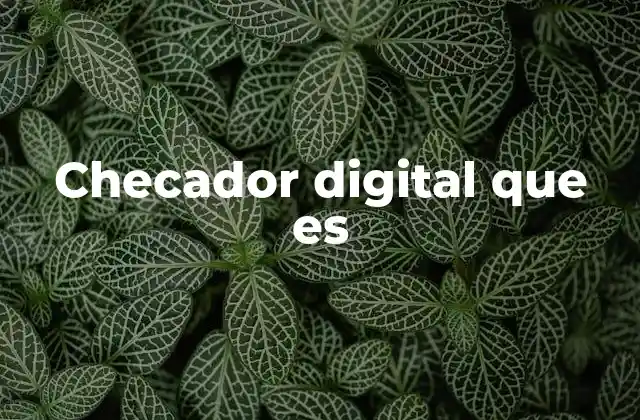 Checador Digital que es