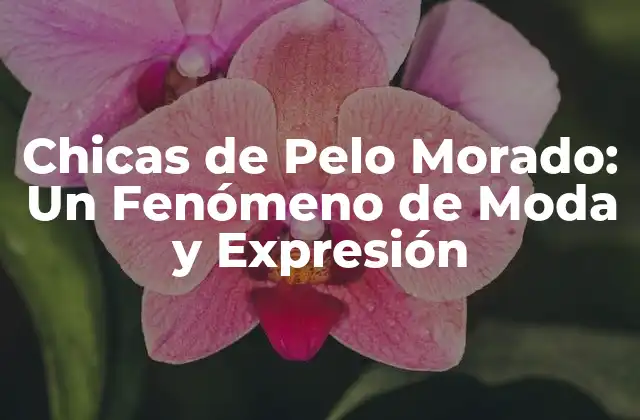 Chicas de Pelo Morado: un Fenómeno de Moda y Expresión