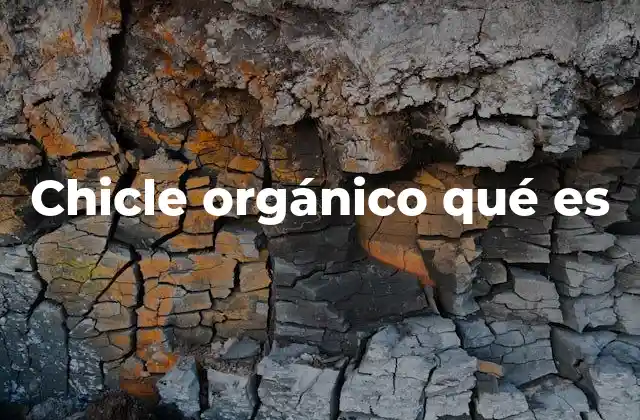Chicle Orgánico Qué es