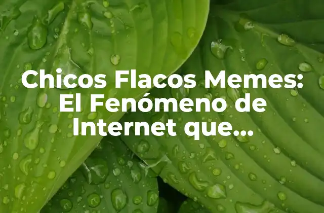 Chicos Flacos Memes: el Fenómeno de Internet que Revoluciona la Comedia