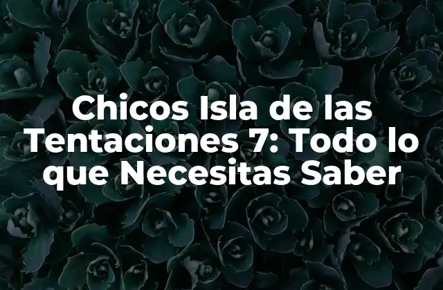 Chicos Isla de las Tentaciones 7: Todo Lo que Necesitas Saber 2 ¿Qué es Isla de las Tentaciones?