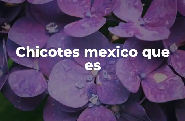 Chicotes Mexico que es
