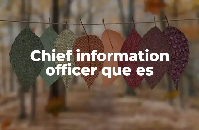 Chief Information Officer que es 2 El rol del CIO en la toma de decisiones estratégicas