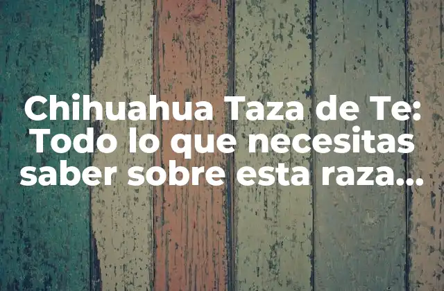 Chihuahua Taza de Te: Todo Lo que Necesitas Saber sobre Esta Raza Canina