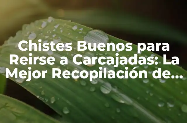 Chistes Buenos para Reirse a Carcajadas: la Mejor Recopilación de Humor