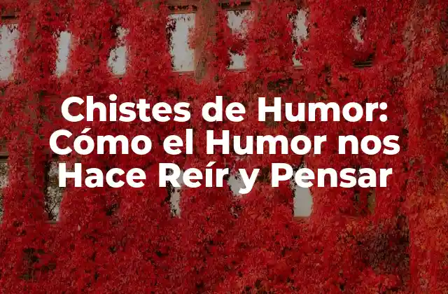 Chistes de Humor: Cómo el Humor Nos Hace Reír y Pensar