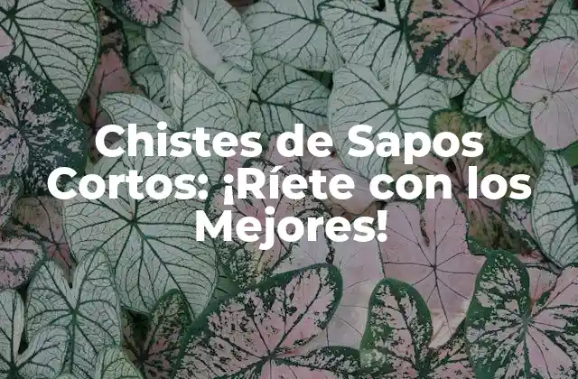 Chistes de Sapos Cortos: ¡ríete con los Mejores!