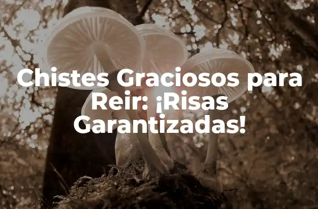Chistes Graciosos para Reir: ¡risas Garantizadas!