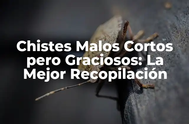Chistes Malos Cortos pero Graciosos: la Mejor Recopilación 2 ¿Qué son los Chistes Malos Cortos pero Graciosos?