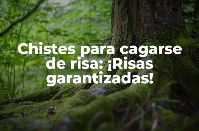 Chistes para Cagarse de Risa: ¡risas Garantizadas!