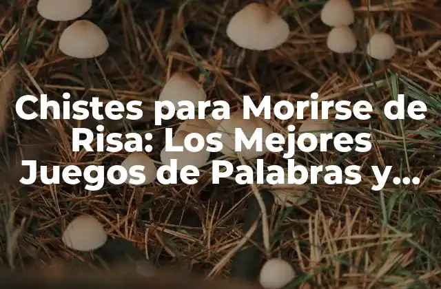 Chistes para Morirse de Risa: los Mejores Juegos de Palabras y Bromas Graciosas