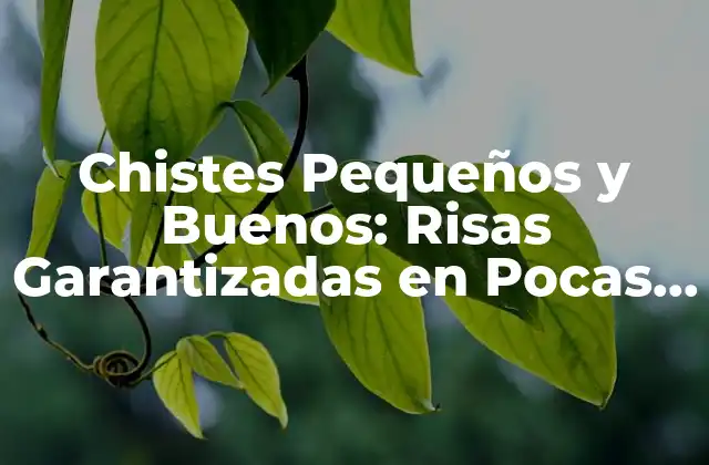 Chistes Pequeños y Buenos: Risas Garantizadas en Pocas Palabras 2 ¿Qué son los Chistes Pequeños y Buenos?