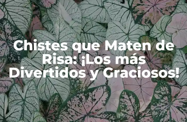 Chistes que Maten de Risa: ¡los Más Divertidos y Graciosos!