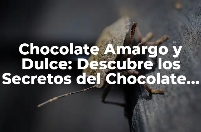 Chocolate Amargo y Dulce: Descubre los Secretos Del Chocolate Perfecto
