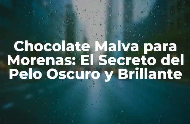 Chocolate Malva para Morenas: el Secreto Del Pelo Oscuro y Brillante
