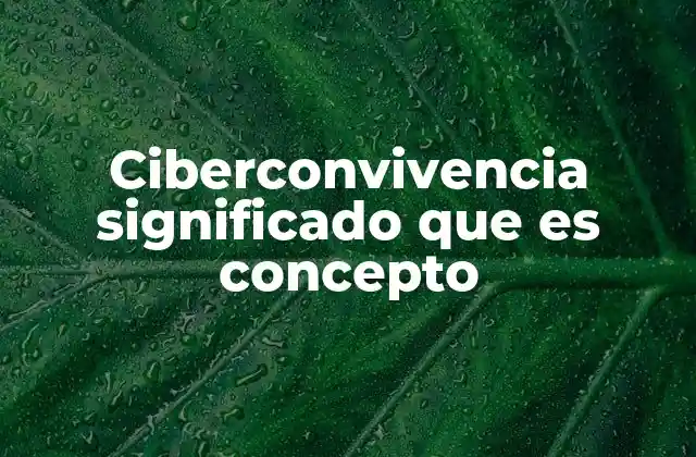 Ciberconvivencia Significado que es Concepto