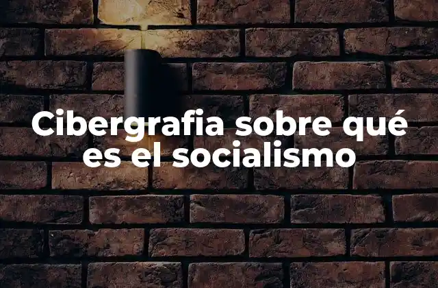 El socialismo como alternativa al capitalismo