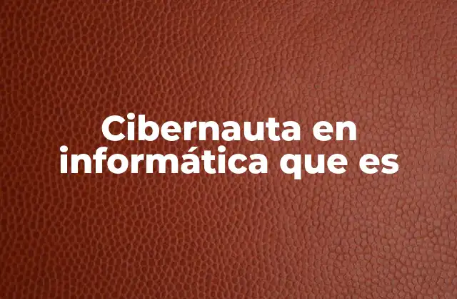 Cibernauta en Informática que es