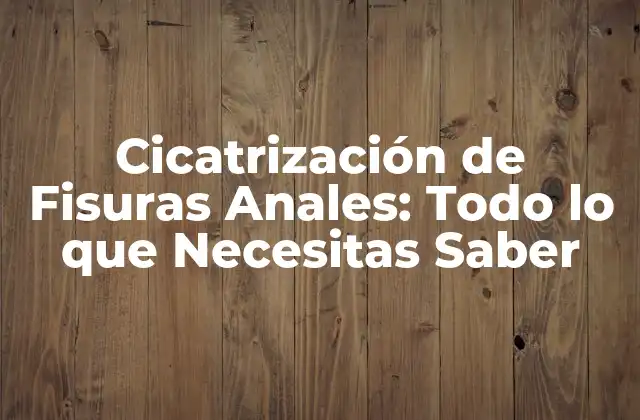 Cicatrización de Fisuras Anales: Todo Lo que Necesitas Saber