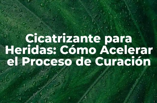 Cicatrizante para Heridas: Cómo Acelerar el Proceso de Curación