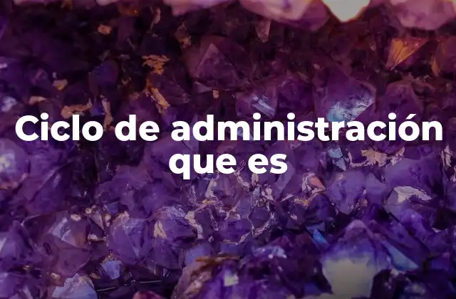 Ciclo de Administración que es