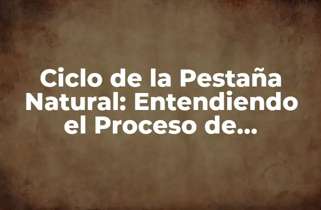 Ciclo de la Pestaña Natural: Entendiendo el Proceso de Crecimiento de la Pestaña