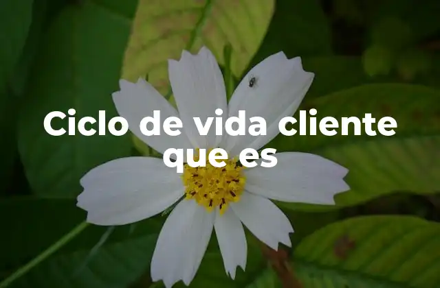 La evolución del cliente dentro de una marca
