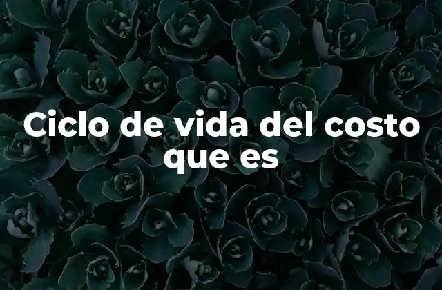 Ciclo de Vida Del Costo que es