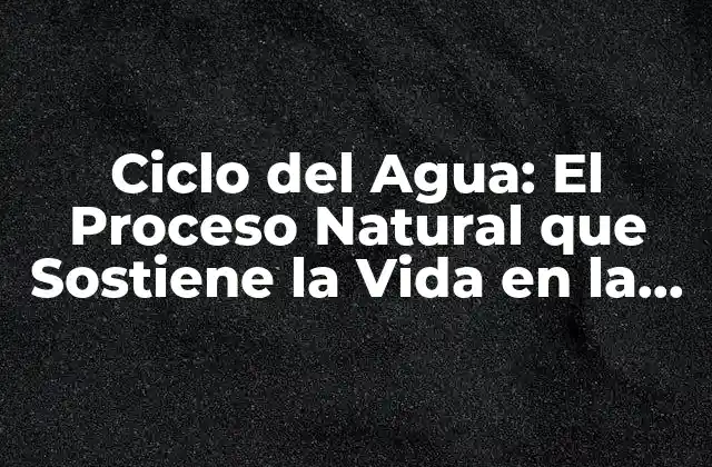 Ciclo Del Agua: el Proceso Natural que Sostiene la Vida en la Tierra