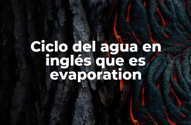 Ciclo Del Agua en Inglés que es Evaporation