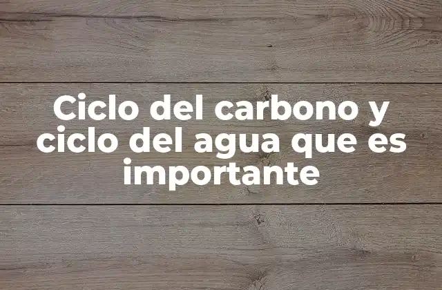 Ciclo Del Carbono y Ciclo Del Agua que es Importante
