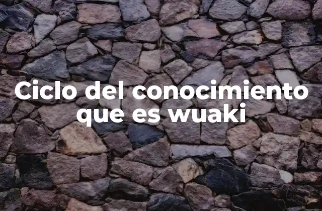 La base filosófica del ciclo del conocimiento en Wuaki