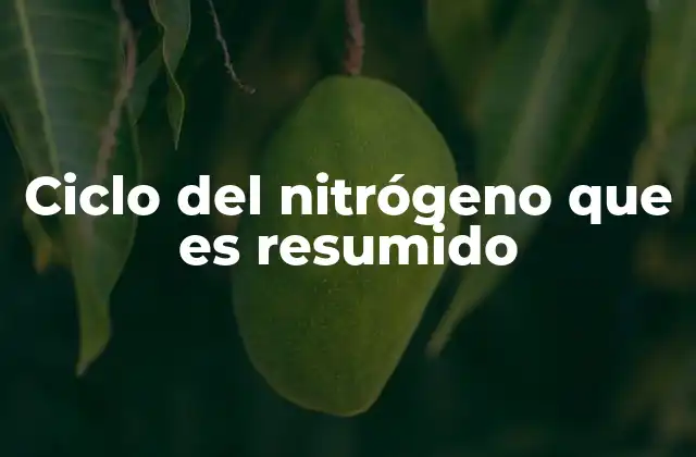 Cómo se desarrolla el proceso sin mencionar directamente la palabra clave