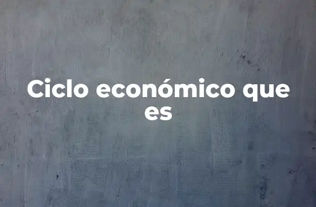 Ciclo Económico que es