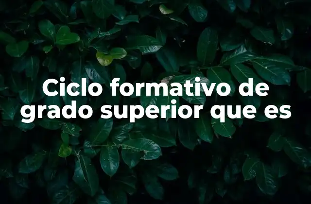 Ciclo Formativo de Grado Superior que es 2 La importancia de la formación profesional especializada