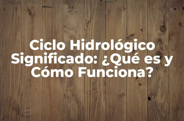 Ciclo Hidrológico Significado: ¿qué es y Cómo Funciona?
