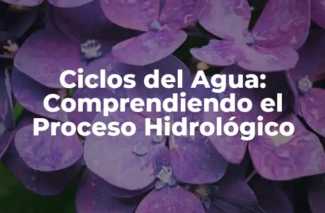Ciclos Del Agua: Comprendiendo el Proceso Hidrológico
