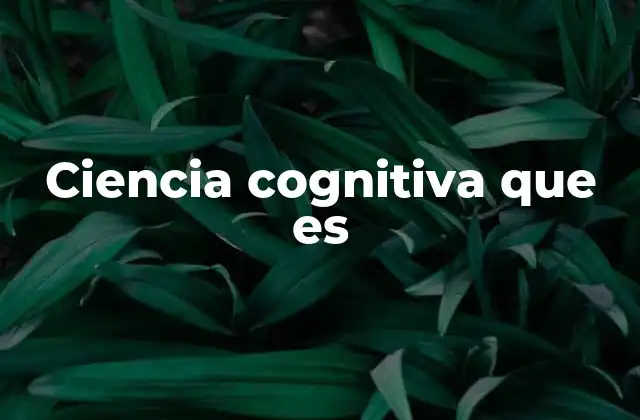 Ciencia Cognitiva que es 2 Cómo la ciencia cognitiva explica el funcionamiento de la mente