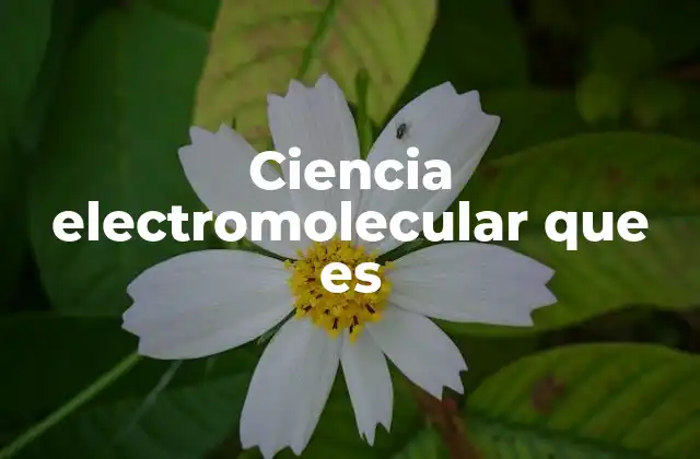 El papel de la energía eléctrica en la química molecular
