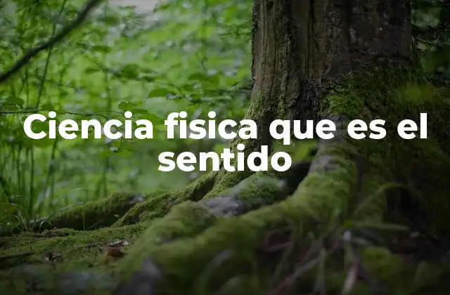 Ciencia Fisica que es el Sentido